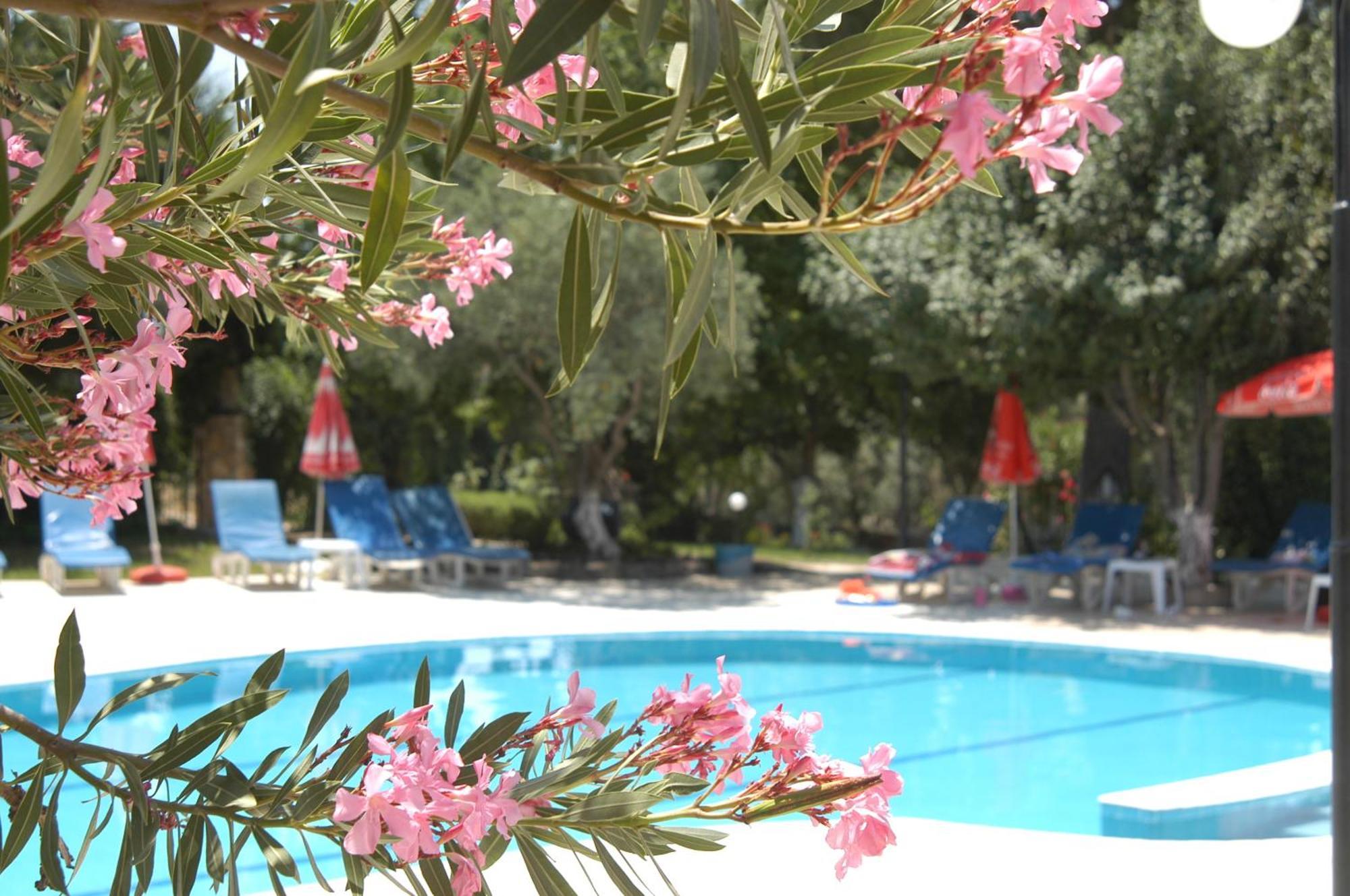 Gokcen Apartments Ölüdeniz Zewnętrze zdjęcie